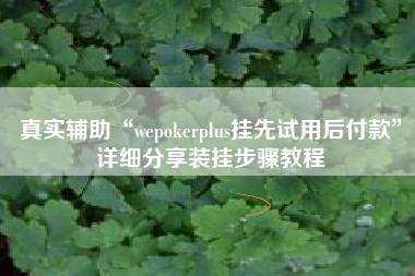 真实辅助“wepokerplus挂先试用后付款”详细分享装挂步骤教程