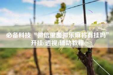 必备科技“微信里面微乐麻将有挂吗”开挂(透视)辅助教程