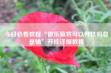 今日必看教程“微乐麻将可以开挂吗总是输”开挂详细教程