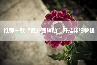 推荐一款“德扑圈辅助”开挂详细教程