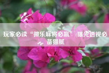 玩家必读“微乐麻将必赢	”(曝光透视必备猫腻