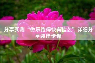 分享实测“微乐跑得快有挂么”详细分享装挂步骤