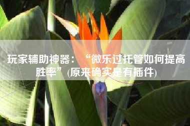 玩家辅助神器：“微乐过托管如何提高胜率”(原来确实是有插件)