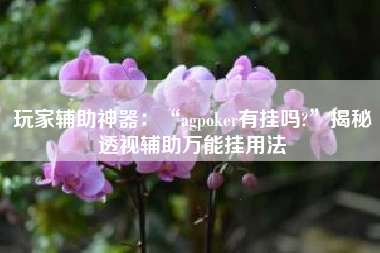 玩家辅助神器：“agpoker有挂吗?	”揭秘透视辅助万能挂用法