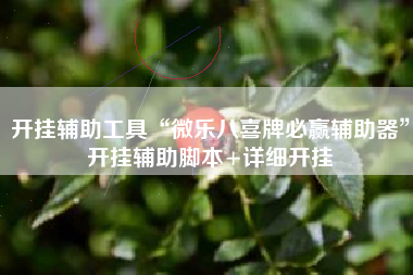 开挂辅助工具“微乐八喜牌必赢辅助器”开挂辅助脚本+详细开挂
