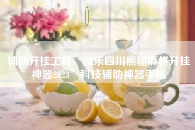 辅助开挂工具“微乐四川熊猫麻将开挂神器2023”科技辅助神器手机