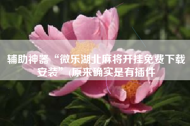 辅助神器“微乐湖北麻将开挂免费下载安装”(原来确实是有插件