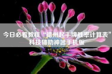 今日必看教程“德州起手牌胜率计算表”科技辅助神器手机版