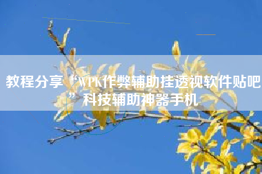 教程分享“WPK作弊辅助挂透视软件贴吧”科技辅助神器手机