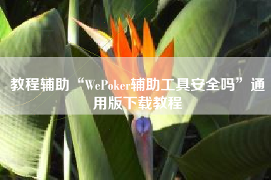 教程辅助“WePoker辅助工具安全吗”通用版下载教程