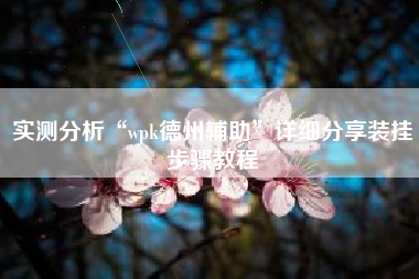 实测分析“wpk德州辅助”详细分享装挂步骤教程