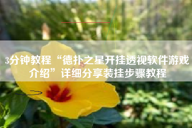 3分钟教程“德扑之星开挂透视软件游戏介绍”详细分享装挂步骤教程