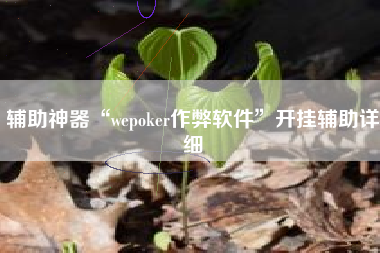 辅助神器“wepoker作弊软件	”开挂辅助详细