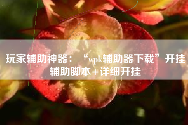 玩家辅助神器：“wpk辅助器下载”开挂辅助脚本+详细开挂