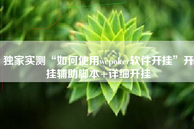 独家实测“如何使用wepoker软件开挂”开挂辅助脚本+详细开挂