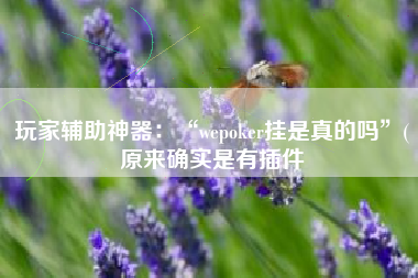 玩家辅助神器：“wepoker挂是真的吗	”(原来确实是有插件