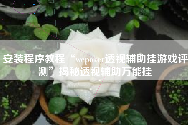 安装程序教程“wepoker透视辅助挂游戏评测”揭秘透视辅助万能挂