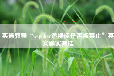 实操教程“wepoker透视挂是否被禁止	”其实确实有挂