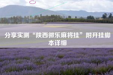 分享实测“陕西微乐麻将挂”附开挂脚本详细