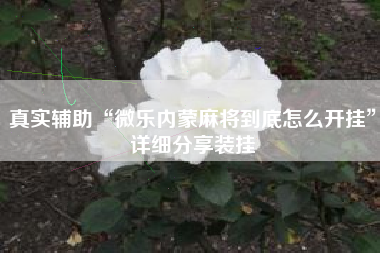 真实辅助“微乐内蒙麻将到底怎么开挂	”详细分享装挂