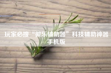 玩家必搜“微乐辅助器”科技辅助神器手机版