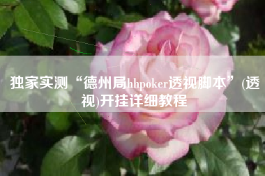 独家实测“德州局hhpoker透视脚本”(透视)开挂详细教程