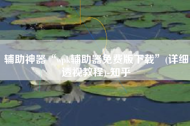 辅助神器“wpk辅助器免费版下载”(详细透视教程)-知乎