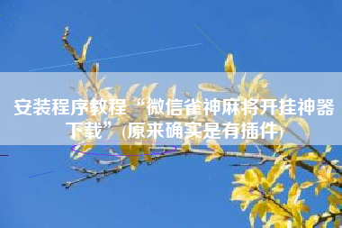 安装程序教程“微信雀神麻将开挂神器下载”(原来确实是有插件)