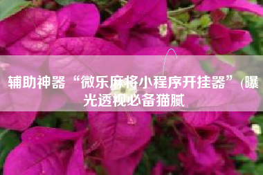 辅助神器“微乐麻将小程序开挂器”(曝光透视必备猫腻