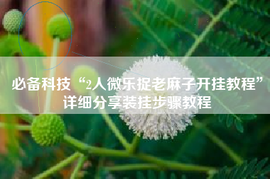 必备科技“2人微乐捉老麻子开挂教程”详细分享装挂步骤教程