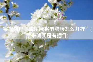 实操教程“微乐麻将电脑版怎么开挂	”(原来确实是有插件)