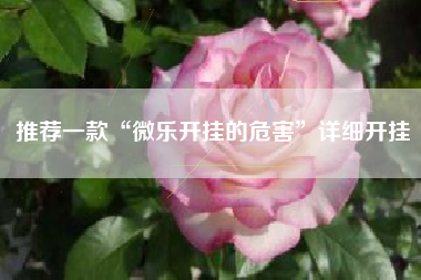 推荐一款“微乐开挂的危害”详细开挂