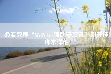 必看教程“WePoker辅助安装包	”附开挂脚本详细