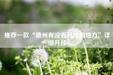 推荐一款“德州有没有开挂的地方”详细开挂