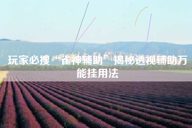 玩家必搜“雀神辅助	”揭秘透视辅助万能挂用法
