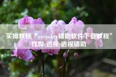 实操教程“we-poker辅助软件下载教程”作弊(透视)透视辅助