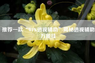 推荐一款“WPK透视辅助	”揭秘透视辅助万能挂