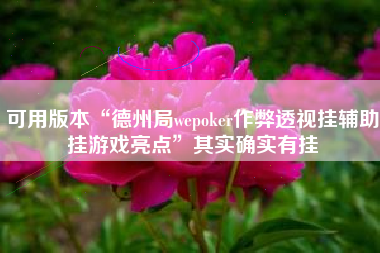 可用版本“德州局wepoker作弊透视挂辅助挂游戏亮点”其实确实有挂