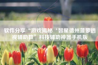 软件分享“游戏揭秘‘智星德州菠萝透视辅助教”科技辅助神器手机版