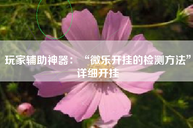 玩家辅助神器：“微乐开挂的检测方法”详细开挂