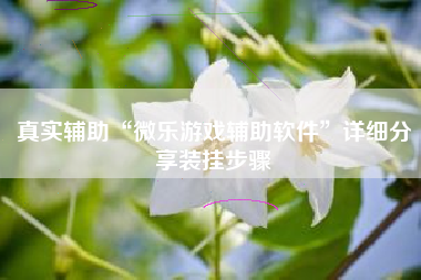 真实辅助“微乐游戏辅助软件”详细分享装挂步骤