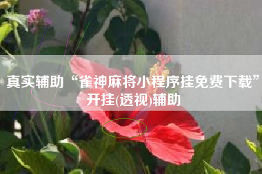 真实辅助“雀神麻将小程序挂免费下载”开挂(透视)辅助