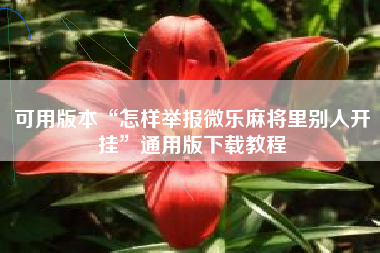 可用版本“怎样举报微乐麻将里别人开挂”通用版下载教程