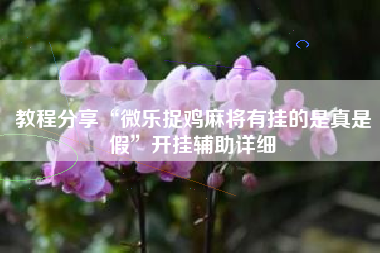 教程分享“微乐捉鸡麻将有挂的是真是假”开挂辅助详细