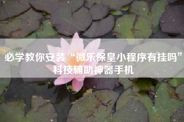 必学教你安装“微乐保皇小程序有挂吗”科技辅助神器手机