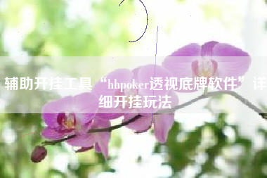 辅助开挂工具“hhpoker透视底牌软件”详细开挂玩法