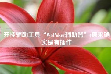 开挂辅助工具“WePoker辅助器	”(原来确实是有插件