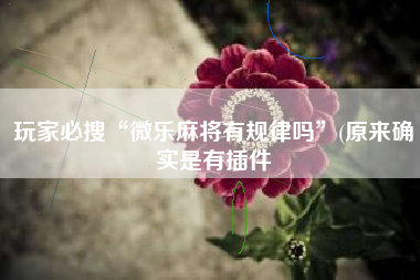 玩家必搜“微乐麻将有规律吗	”(原来确实是有插件