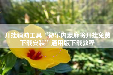 开挂辅助工具“微乐内蒙麻将开挂免费下载安装	”通用版下载教程