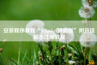 安装程序教程“WEpoker辅助器”附开挂脚本详细教程